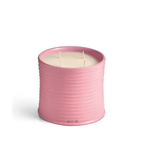 Loewe Ivy Large Scented Candle 2120Gr