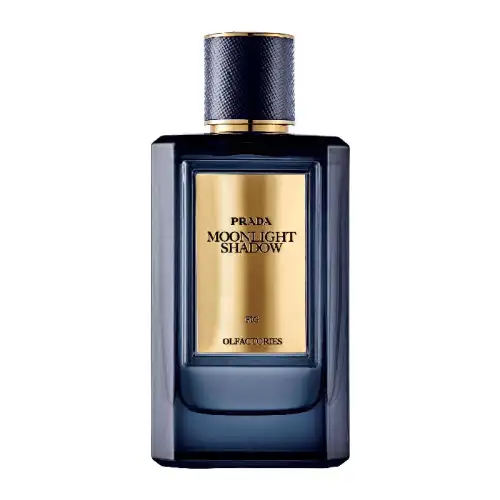 Prada Moonlight Shadow Eau De Parfum 100Ml