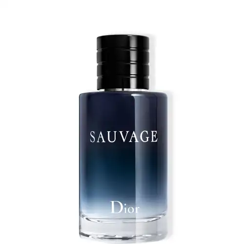 Sauvage Eau De Toilette Dior ανδρικά αρώματα