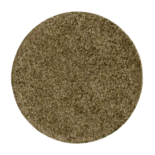 Carolina Herrera Chic Mono Eyeshadow Metallic Olive - Shade 016