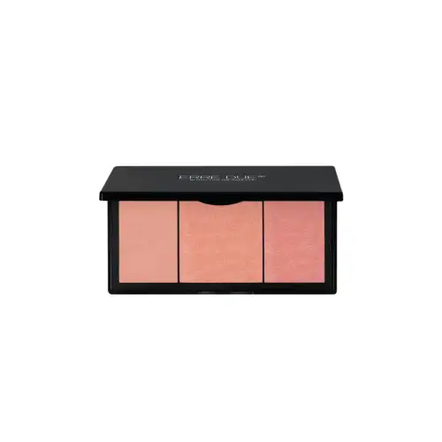 Erre Due Blush Color Palette 10Gr 301 Eccentric Visioner