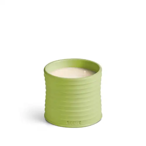 Loewe Cucumber Medium Scented Candle 610Gr