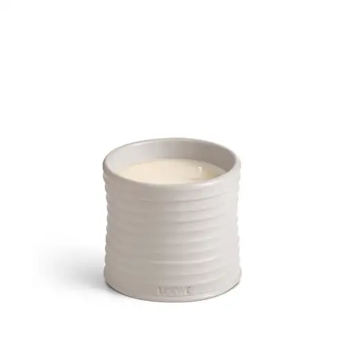 Loewe Oregano Medium Scented Candle 610Gr