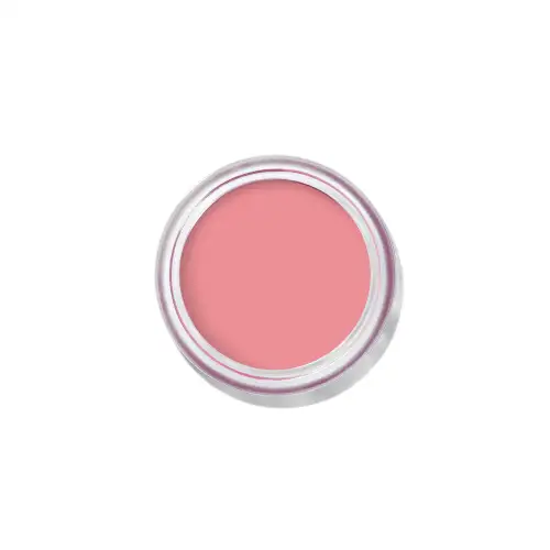 Bobbi Brown Pot Rouge Velvet Matte 8 5Gr Petal Pink