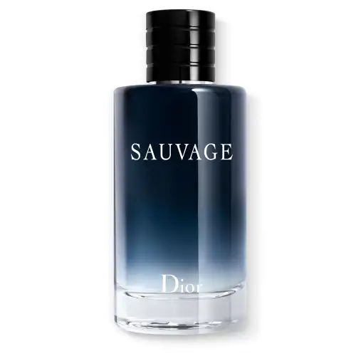 Sauvage Eau De Toilette Dior ανδρικά αρώματα