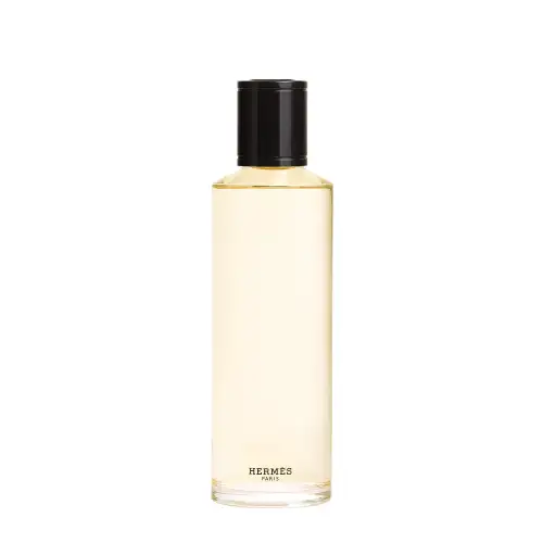 Hermès Terre D&Apos Eau De Parfum Intense Refill 200Ml