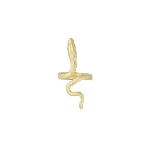 Δαχτυλίδι Φίδι - Επίχρυσο Power Of Symbol αξεσουάρ My Own Δαχτυλίδια