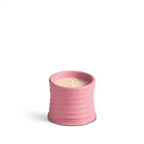 Loewe Ivy Small Scented Candle 170Gr