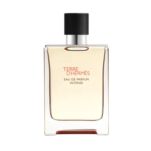 Hermès Terre D&Apos Eau De Parfum Intense 100Ml
