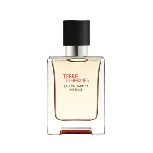 Hermès Terre D&Apos Eau De Parfum Intense 50Ml