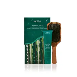 Aveda Botanical Repair™ Strengthen Smooth Styling Essentials