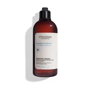 Purifying Freshness Shampoo 300Ml L''occitane μαλλιά Ενυδατωση - Θρεψη Σαμπουάν