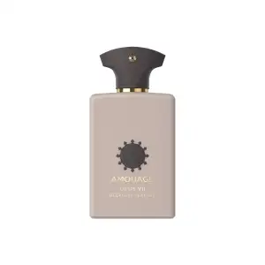 Amouage Opus Vii Reckless Leather Eau De Parfum 100Ml