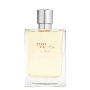 Hermès - Terre D’hermès Eau Givrée De Parfum Αρώματα Ανδρικά