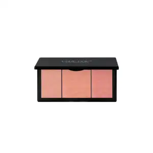 Erre Due Blush Color Palette 10Gr 301 Eccentric Visioner
