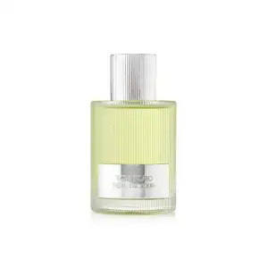 Tom Ford Signature Beau De Jour Eau Parfum 100Ml