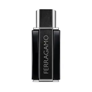 Ferragamo Sublime Leather Eau De Parfum ανδρικά αρώματα