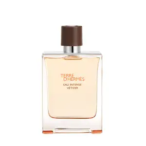 Hermès - Terre D&Apos Eau Intense Vétiver De Parfum Αρώματα Ανδρικά