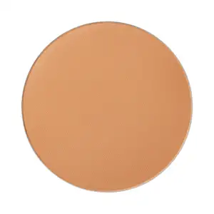 Mac Studio Fix Powder Plus Foundation Refill 12Gr C5